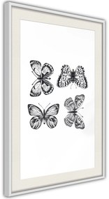 Αφίσα - Butterfly Collection III B - 20x30 - Χρυσό - Χωρίς πασπαρτού