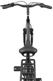 Altec Omega 28 Inch 50 cm Women 7SP Roller brakes Matte black