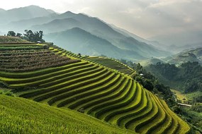 Φωτογραφία Rice fields on terraced of Mu, wiratgasem