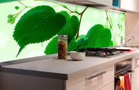 Αυτοκόλλητη φωτοταπετσαρία για πράσινα φύλλα κουζίνας