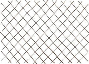 vidaXL Καφασωτό Φράχτης 5 τεμ. 180 x 120 εκ. από Ιτιά