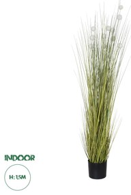 GloboStar® Artificial Garden ERIOPHORUM ANGUSTIFOLIUM COTTON GRASS 20073 Τεχνητό Διακοσμητικό Φυτό Γρασίδι του Βαμβακιού Υ150cm