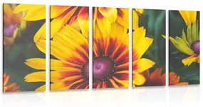 Εικόνα 5 μερών ελκυστικά δίχρωμα λουλούδια - 200x100