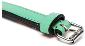 Κολλάρο Σκύλου Gloria Γεμισμένο Πράσινο (45 x 2 cm)