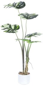 Τεχνητό Φυτό Μονστέρα Albo 2801-6 100cm Green Supergreens Πλαστικό