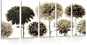 5 μέρη εικόνα λουλούδια ντάλια σε διάφορα σχέδια σε σχέδιο σέπια - 100x50