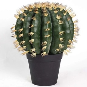 Τεχνητό Φυτό Εχινόκακτος 7780-6 67cm Green Supergreens Polyethylene
