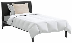 vidaXL Χειμερινό Παπλωματοθήκη με μαξιλάρι 2 pcs Λευκό Φτέρος