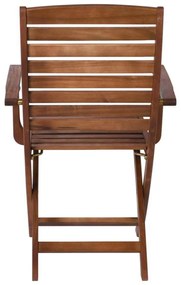 Πολυθρόνα SPOT Πτυσ/νη Acacia 55x54x90cm (Σετ 2 ΤΕΜ)