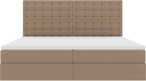 vidaXL Κρεβάτι Αποθήκης Καπουτσίνο 200 x 200 cm Τεχνητό Δέρμα