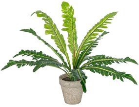 Τεχνητό Φυτό Σε Κασπώ Asplenium 20904 Φ40x33cm Grey-Green GloboStar Polyethylene,Fabric