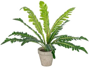 Τεχνητό Φυτό Σε Κασπώ Asplenium 20904 Φ40x33cm Grey-Green GloboStar Πολυαιθυλένιο,Ύφασμα