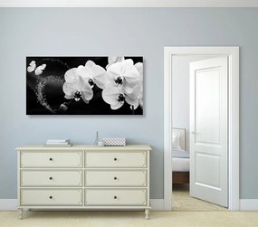 Εικόνα ασπρόμαυρη ορχιδέα και πεταλούδα - 100x50