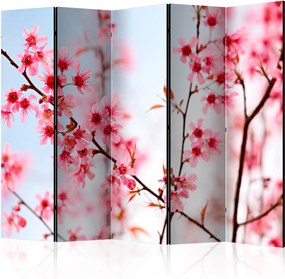 Διαχωριστικό με 5 τμήματα - Symbol of Japan - sakura flowers II [Room Dividers]