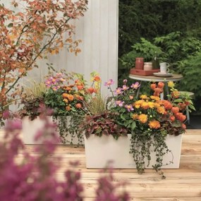 Βάζο Λουλουδιών Lechuza Λευκό Μαύρο πολυπροπυλένιο