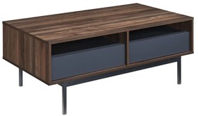 GROOVES COFFEE TABLE 2ΣΥΡΤΑΡΙΑ WOTAN OAK ΓΚΡΙ 110x60xH45cm - 04-0893