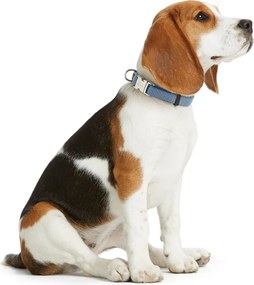 Κολλάρο Σκύλου Hunter VARIO BASIC Μπλε XL 45-65 cm