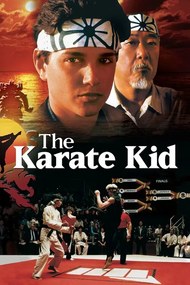 Εικονογράφηση The Karate Kid (1984)