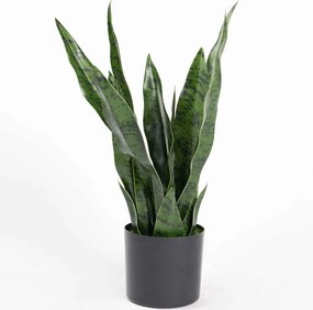 Τεχνητό Φυτό Σανσεβιέρια Robusta 9880-6 55cm Green Supergreens Πολυαιθυλένιο