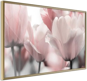 Αφίσα - Pastel Tulips II - 45x30 - Χρυσό - Χωρίς πασπαρτού