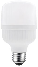 LED P70 E27 230V 13W 6.000K  220° 1.340LM Ra80 IP65 ACA P7013CW