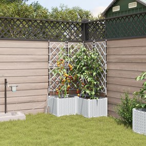 vidaXL Γλάστρες Κήπου 1 τεμ Καφασωτό Λευκό 80 x 80 x 142 cm Πλαστικό