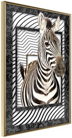 Αφίσα - Zebra in the Frame - 20x30 - Χρυσό - Χωρίς πασπαρτού