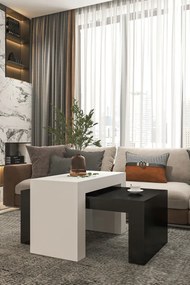 Stewehome Σετ 2 μοντέρνα τραπεζάκια σαλονιού από σαντουλάμ 50x90 cm