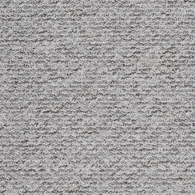 Μοκέτα (200x290) Βιοκαρπέτ Newton 72