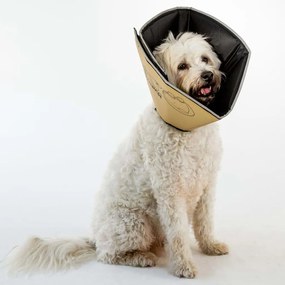 All Four Paws Κώνος/Κολάρο Ανάρρωσης Comfy Cone M 20 εκ. Ταμπά