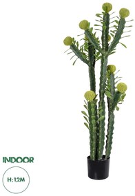 20193 GloboStar® Artificial Garden CEREUS JAMACARU CACTUS 20193 Τεχνητό Διακοσμητικό Φυτό Κάκτος Κηρίος Υ120cm