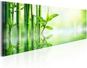 Πίνακας - Green Bamboo 120x40