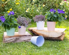 Beauty Home ΜΕΤΑΛΛΙΚΟ ΚΑΣΠΩ