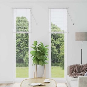 vidaXL Ρολό Παραθύρου με κουρτίνες Άλλο Λευκό 60 x 220 εκ. Αλουμίνιο