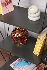 Βιβλιοθήκη Balaban 48x31x165εκ - Ανθρακί