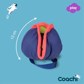 Training toy Coachi CHASE &amp; TREAT Μπλε