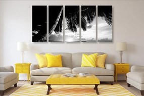 Εικόνα 5 μερών ανατολής σε παραλία της Καραϊβικής σε ασπρόμαυρο - 200x100