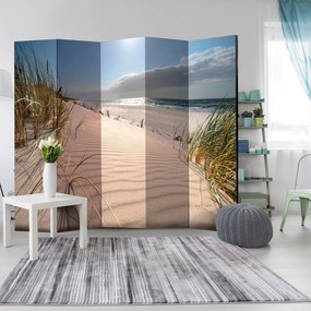 Διαχωριστικό με 5 τμήματα - Beach in Mrzezyno II [Room Dividers] 225x172