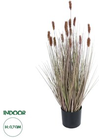 GloboStar® Artificial Garden BROWN LAGURUS 21099 Διακοσμητικό Φυτό Καφέ Λαγοουρά Υ70cm