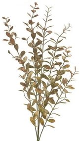 Τεχνητό Κλωνάρι Κολούμνεα Καφέ 73 εκ. 6790-7 Supergreens-6790-7-Καφέ 6790-7