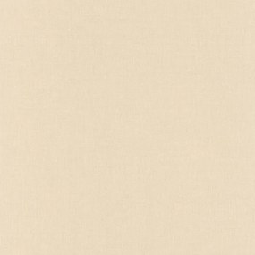 Ταπετσαρία τοίχου Color-Box-2 Linen Medium Beige 68521289 53X1005