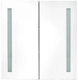 vidaXL Καθρέφτης Μπάνιου με Ντουλάπι & Φωτισμό LED Γκρι 62x14x60 εκ.