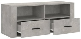 vidaXL Έπιπλο Τηλεόρασης Γκρι Σκυρ. 100x35x40 εκ. Επεξ. Ξύλο