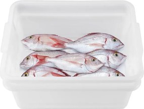 Δοχεία Απόψυξης Τροφίμων Σετ 3τεμ. 35lt - 540x385x292mm 01260 - Araven