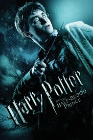 Εικονογράφηση Harry Potter and The Half-blood prince