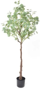 SILVER DOLLAR EUCALYPTUS ΤΕΧΝΗΤΟ ΦΥΤΟ ΣΕ ΓΛΑΣΤΡΑ PE ΜΕΤΑΞΩΤΟ ΥΦΑΣΜΑ ΠΡΑΣΙΝΟ H150cm - 029878