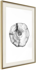 Αφίσα - Tree Rings - 30x45 - Χρυσό - Με πασπαρτού