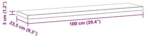 Ράφια Τοίχου 2 τεμ. Ασημί 100x23,5x3 εκ. Ανοξείδωτο Ατσάλι - Ασήμι
