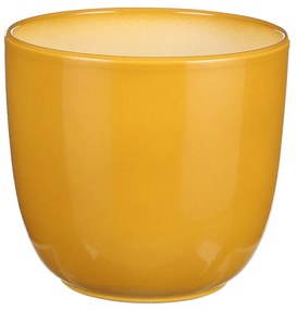 Κασπώ (Φ19.5x18.5) Edelman Tusca Ochre 1080149