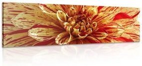 Εικόνα λουλουδιού ντάλιας σε εξωτικό σχέδιο - 150x50
